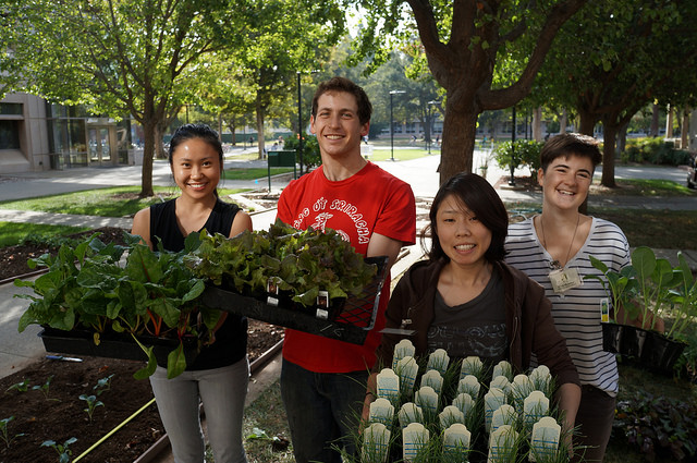 Edible Landscaping Students