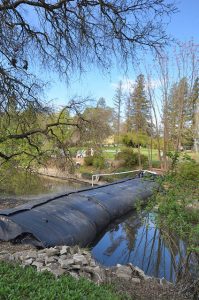 Arboretum Waterway construction update 6.6.17