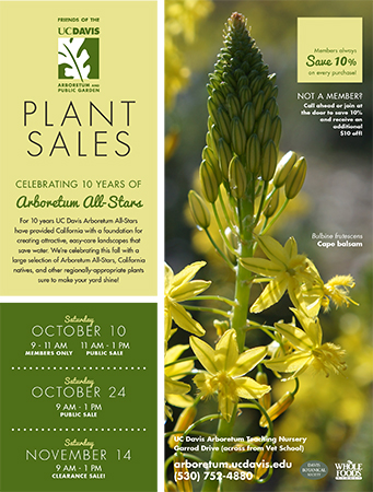 Fall Plant Sales Flier