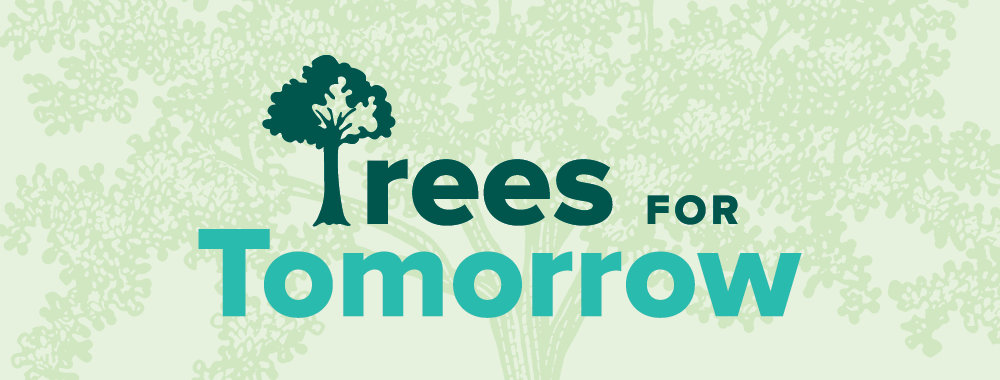 Trees for Tomorrow wordmark on a green background with a faint oak tree illustration.