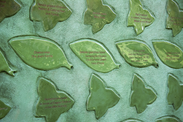 butterfly and leaf tiles