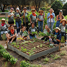Image of students and volunteers in the UC Davis Good Life Garden.