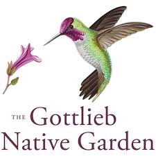 Image of gottlieb native garden logo.