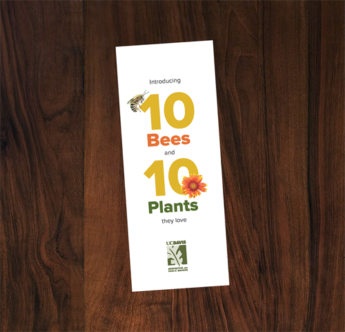 Brochure of 10 Bees and 10 Plants on a wooden surface.