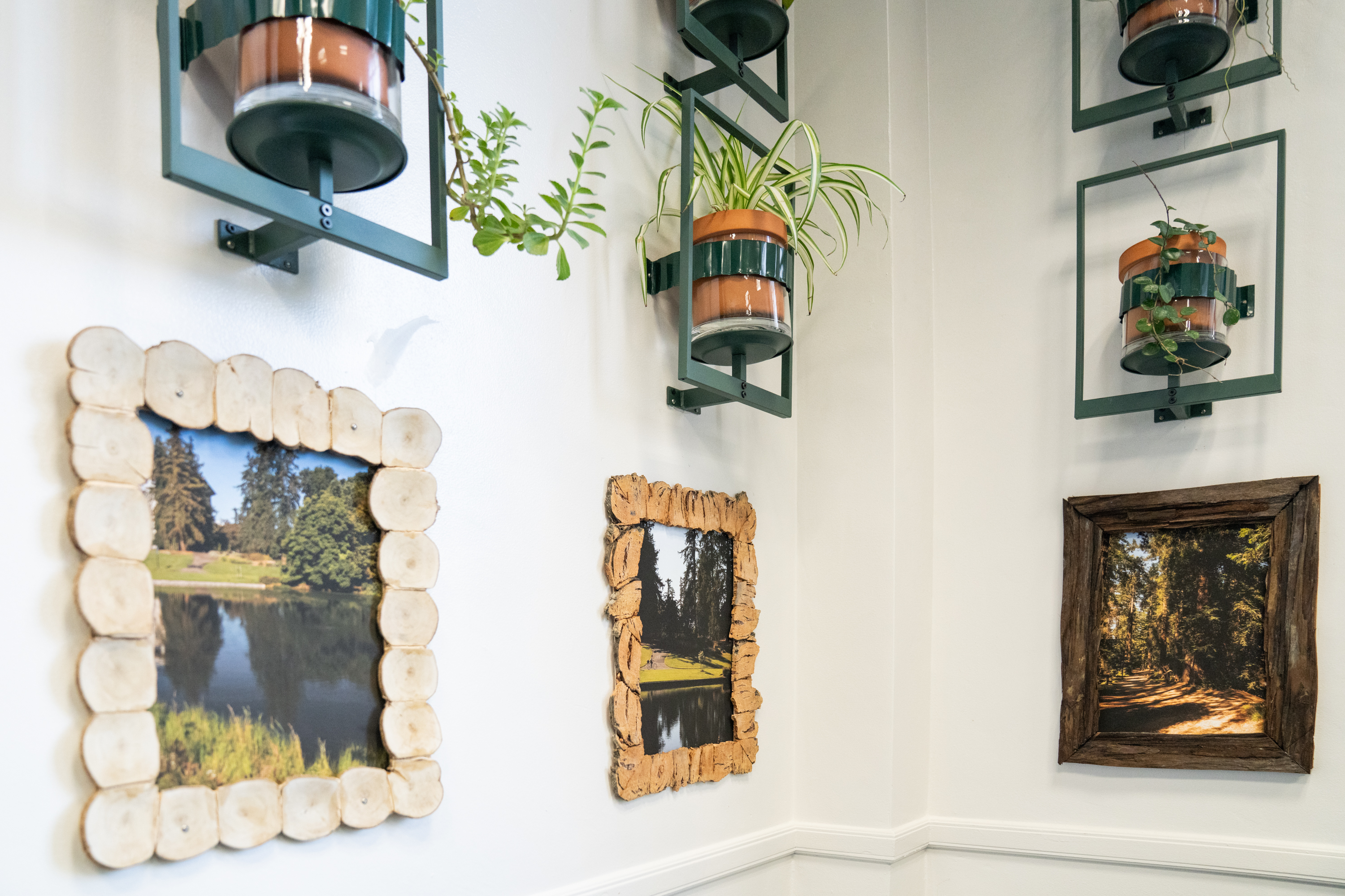 Wall decorated with hanging planters and framed photos of the Arboretum and Public Garden