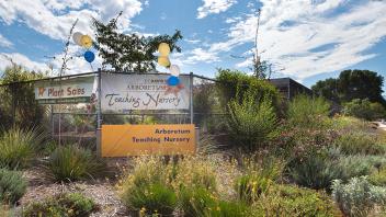 Community entrance sign with balloons among desert plants under blue sky