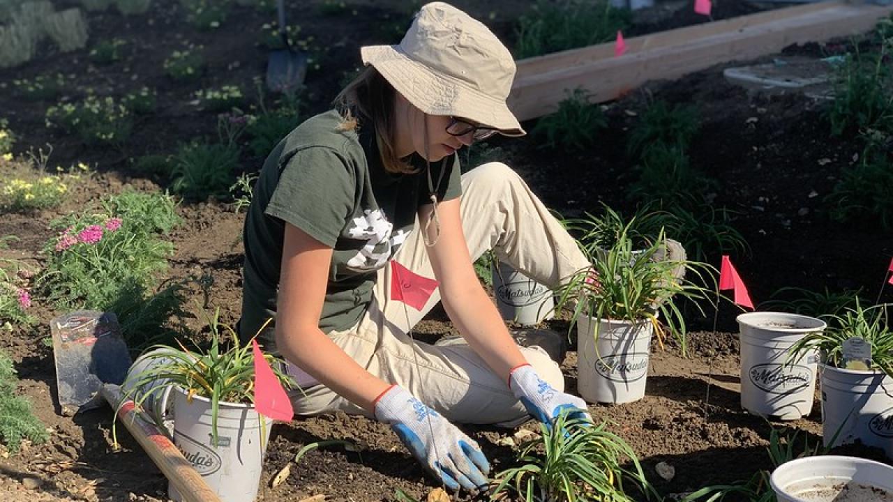 Student planting 