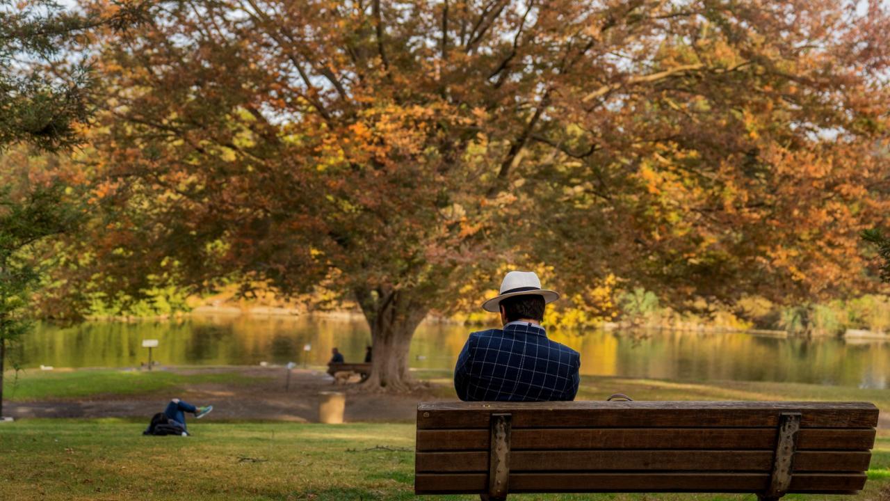 Person on a bench in the Arboretum.