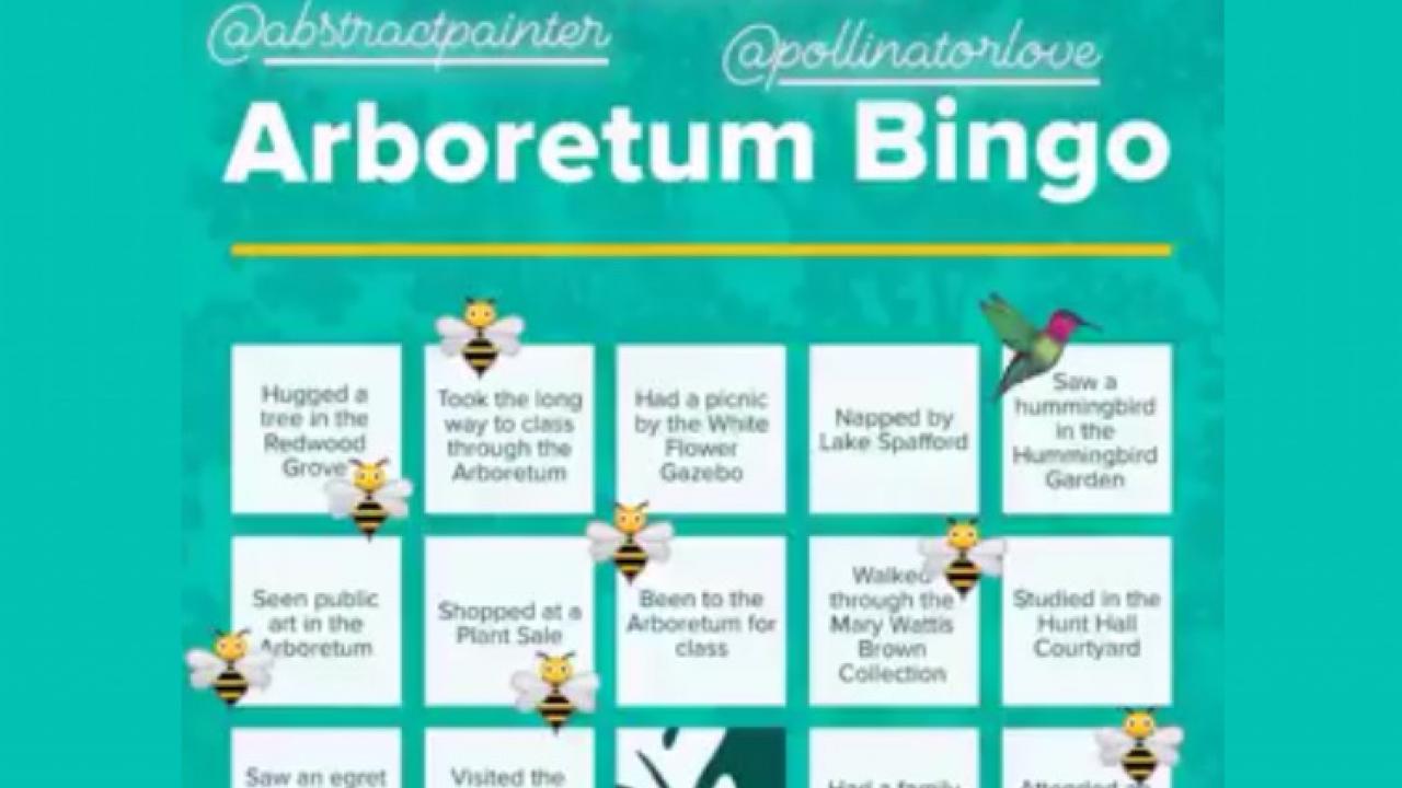 Arboretum Bingo
