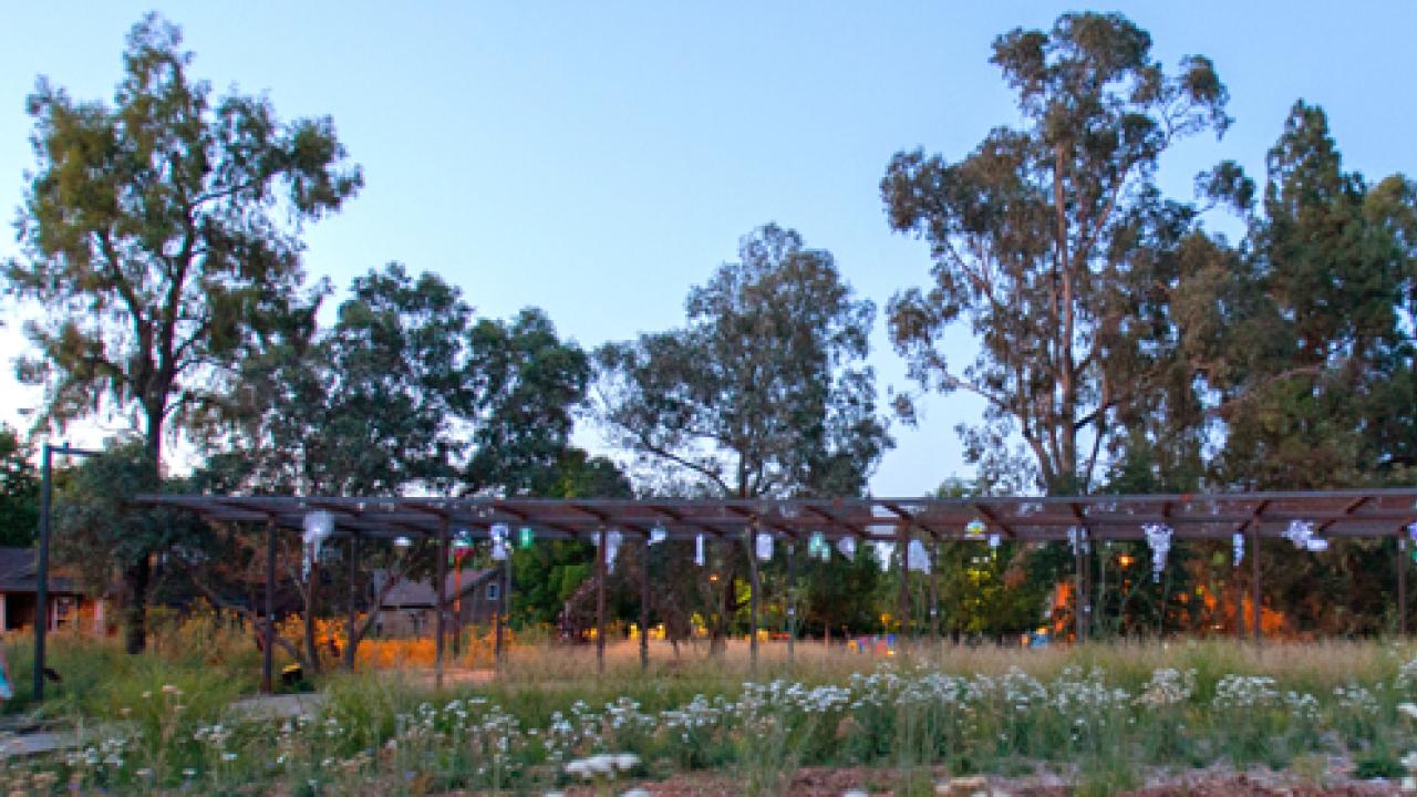 California Gateway Garden trellis