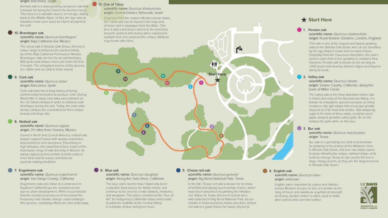 Image of self-guided tour brochure.