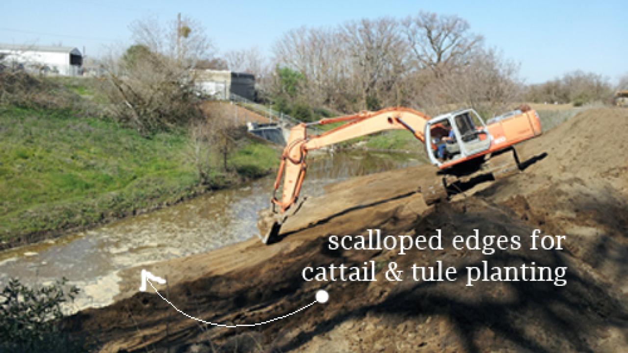 Scalloped edges
