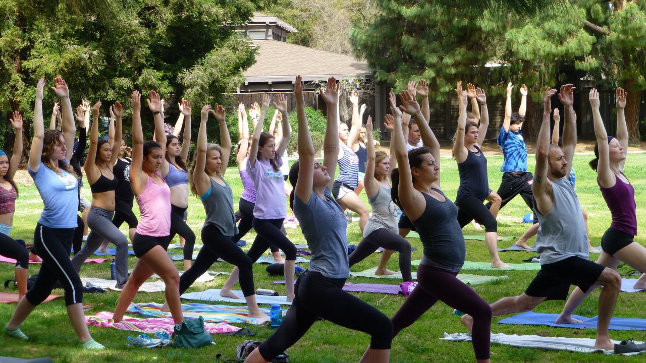 Image of yoga class in the Arboretum.