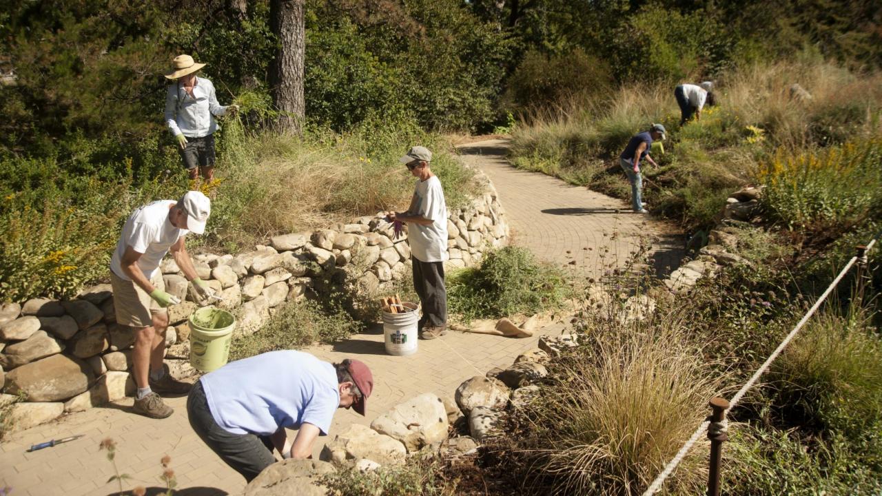 Volunteers working along an Arboretum path