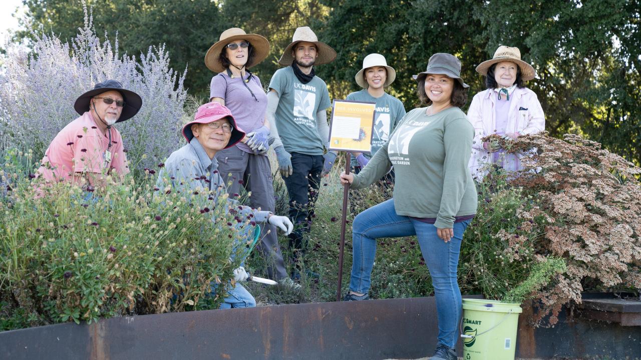 Image of a group of all-ages volunteers in a garden setting.