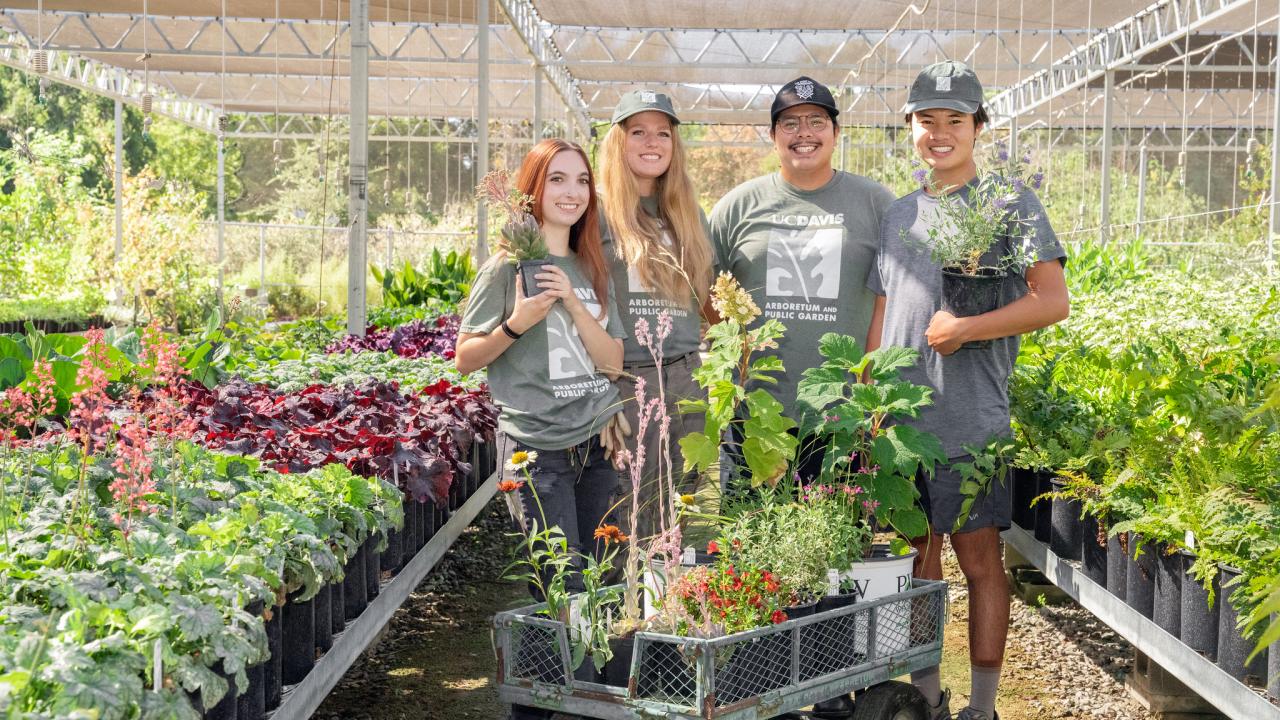 Four Arboretum student interns stand in the Arboretum Teaching Nursery, posing between two aisles of vibrant leafy plants
