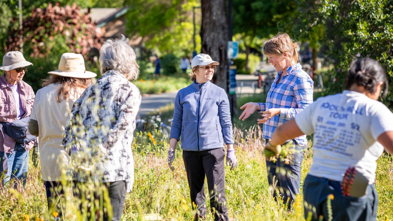 A team of volunteers in the Arboretum GATEway Garden