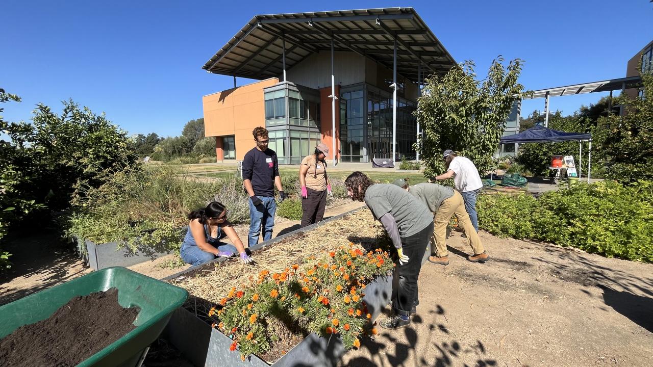 Volunteers working in the Good Life Garden