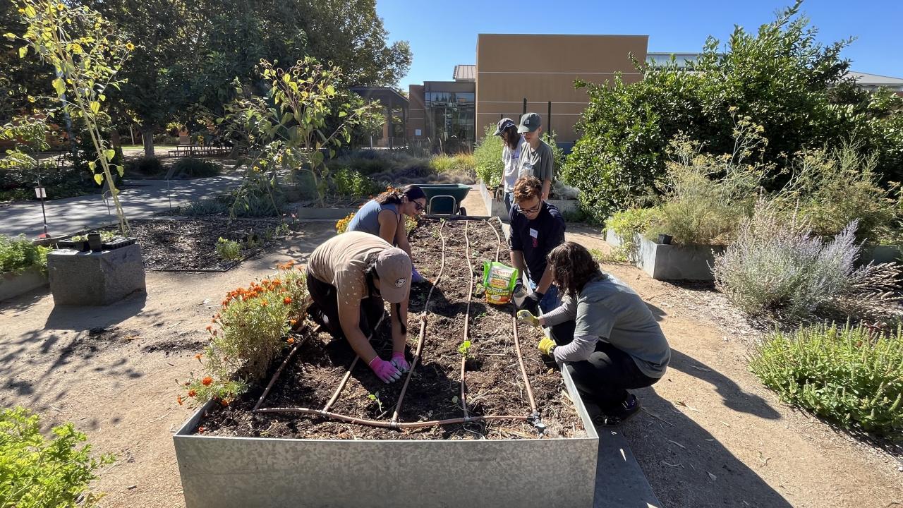 A group of volunteers work at a garden bed in the Good Life Garden
