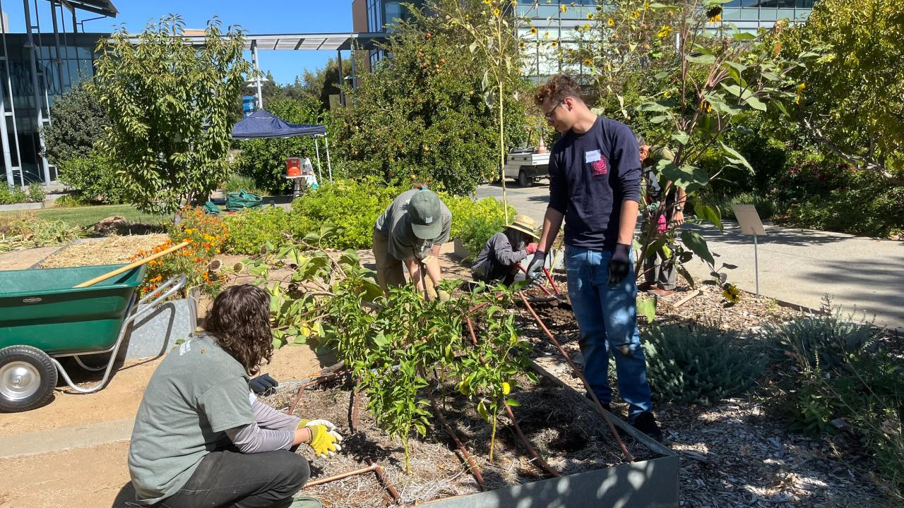 A group of volunteers tend to the Good Life Garden