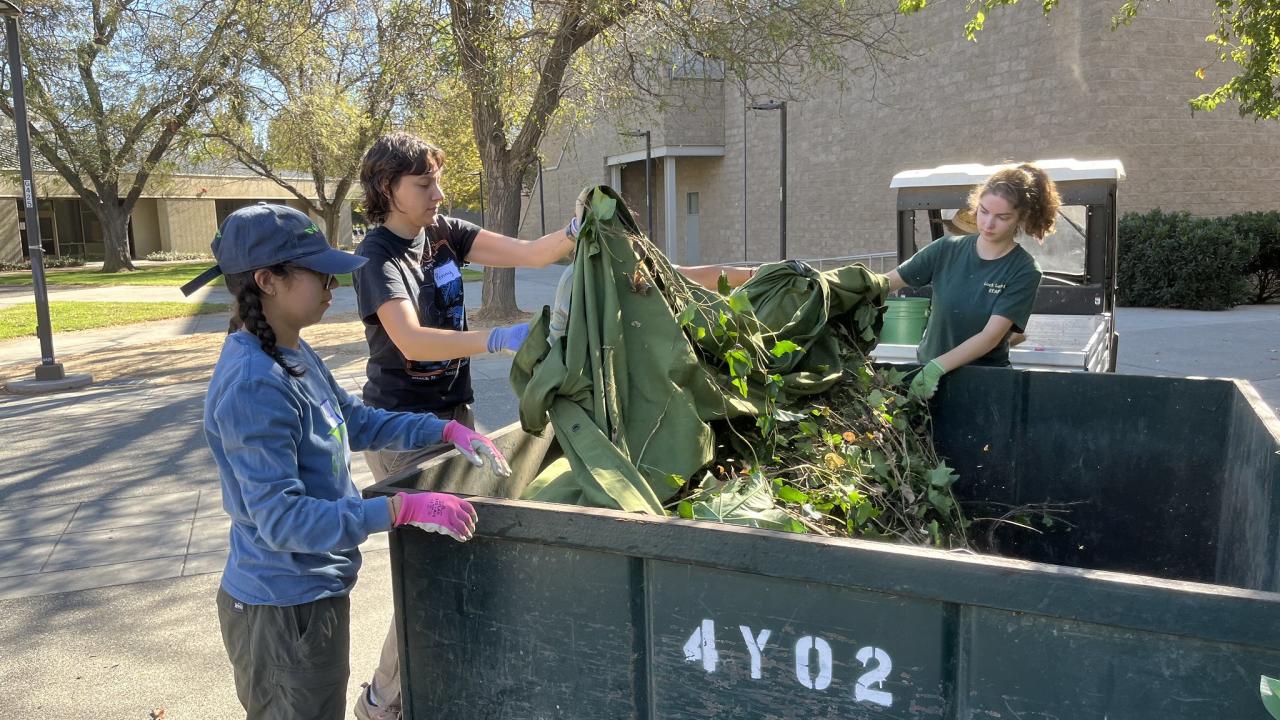 Volunteers dump trimmings into a bin