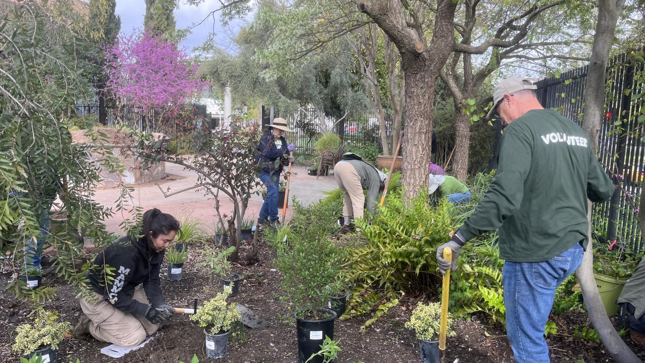 Volunteers in the Arboretum Terrace Garden
