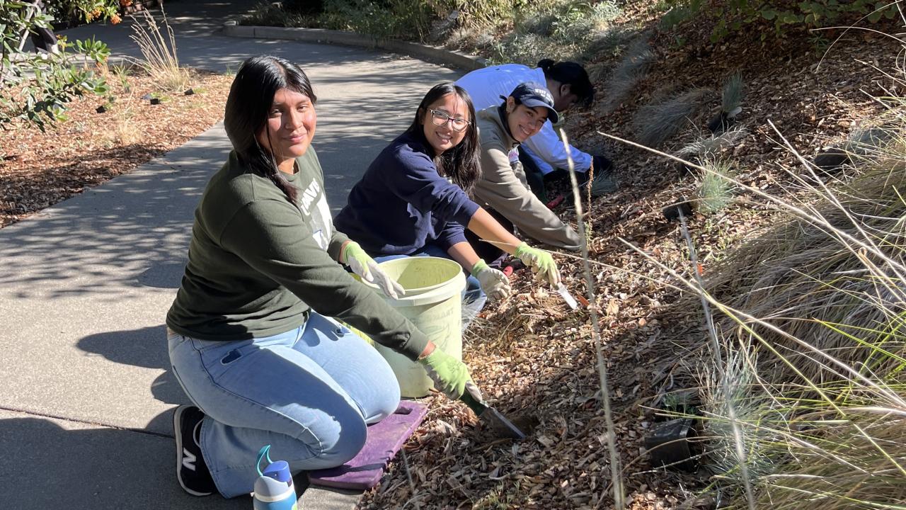 Volunteers kneel, working in the Arboretum