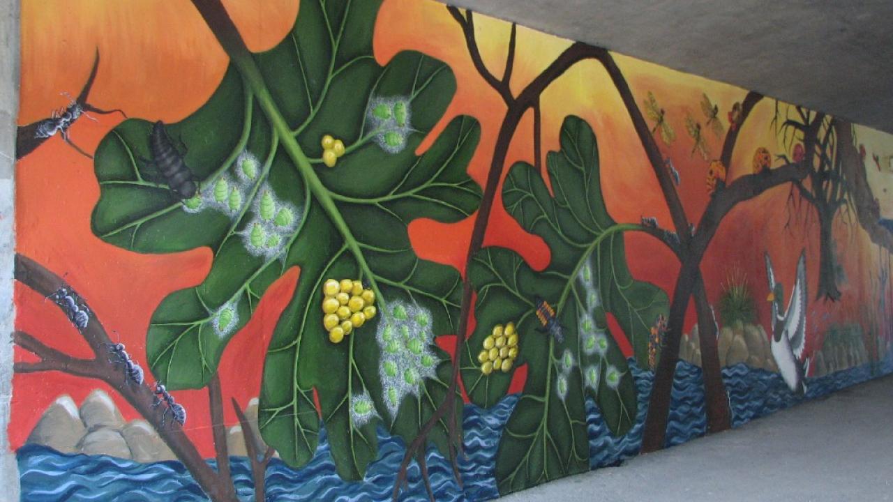 Image of the A Street Bridge mural in the UC Davis Arboretum.