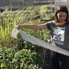 UC Davis Arboretum and Public Garden staff member holds a roll of plant labels among rows of plants in the Arboretum Teaching Nursery