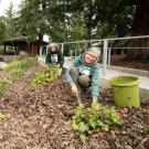 UC Davis Arboretum and Public Garden volunteers working in front of Wyatt Deck.