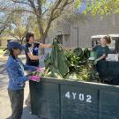 Volunteers dump trimmings into a bin