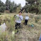 A person smiles, holding pulled weeds in the UC Davis Arboretum and Public Garden