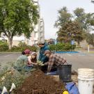Volunteers prep a landscape in a parking lot on campus to plant a new tree.