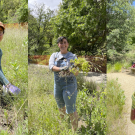 Composite of three photos of smiling volunteers in an Arboretum garden