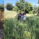 Composite of two images. On the left a dry landscape with grass and tall dried plants. On the right, three student interns stand among green grasses and flowering plants.