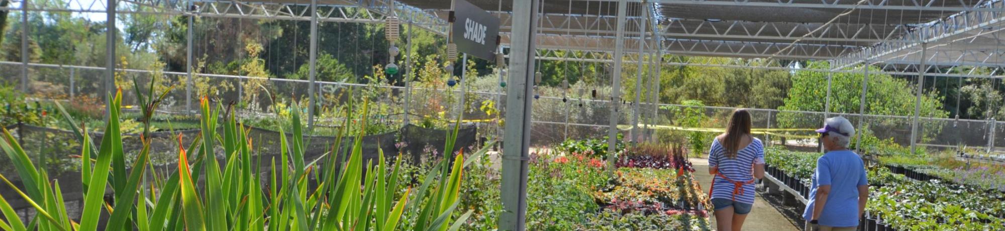 Image of UC Davis Arboretum Teaching Nursery.